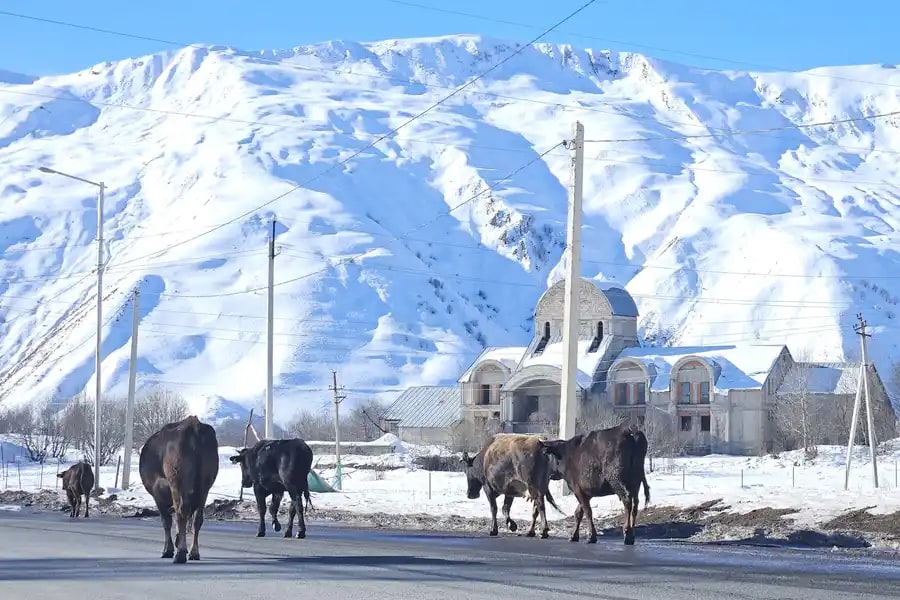 Kazbegi mountain landscape