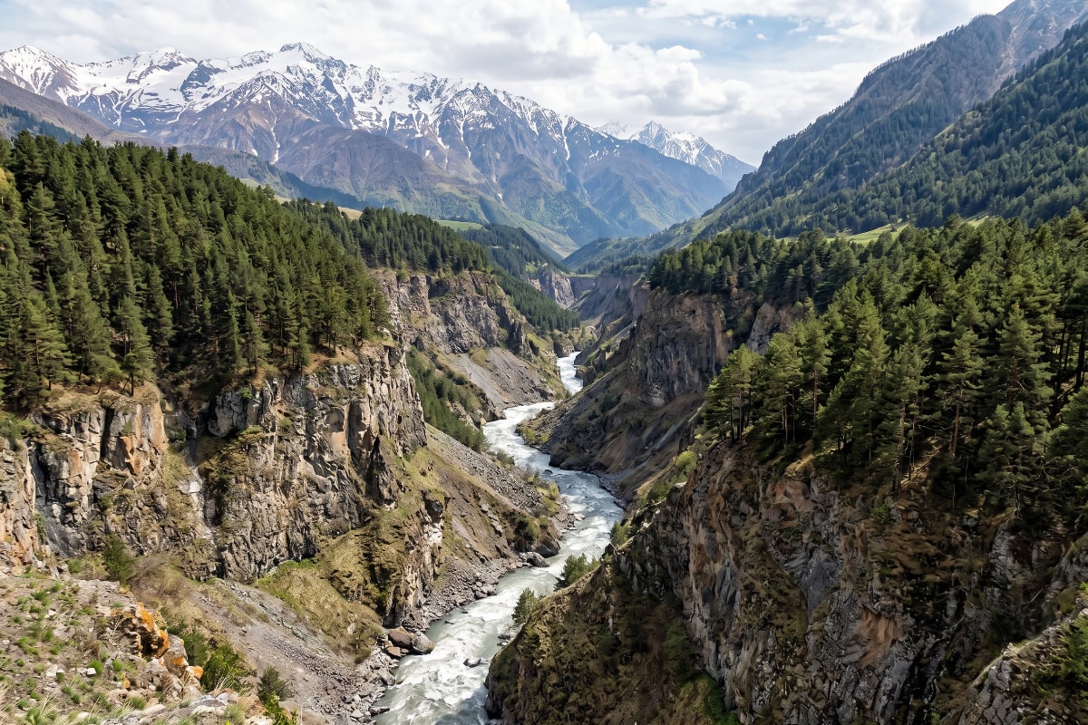 The deep river gorge and pine forest of the Terek Valley